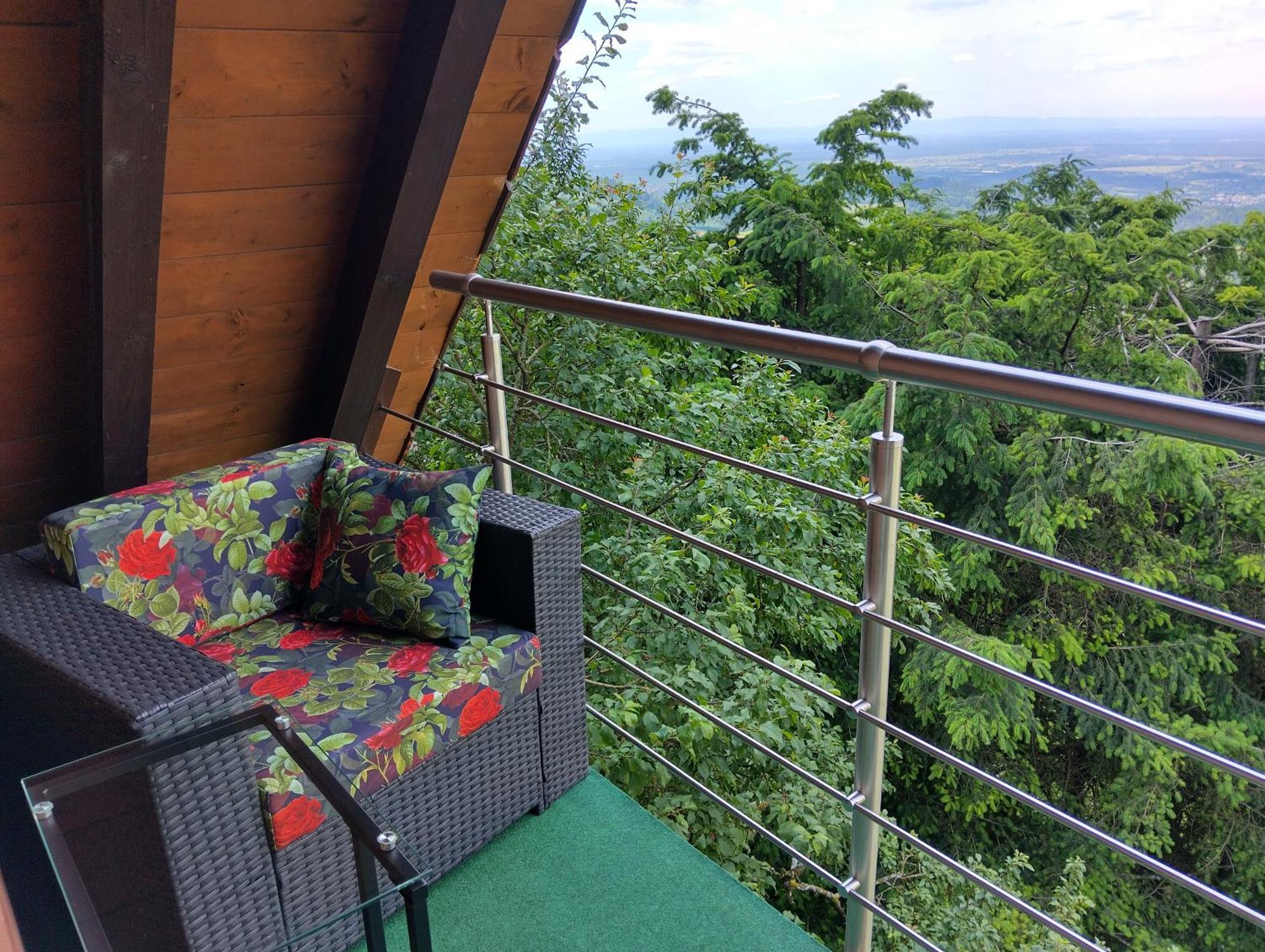 Haus "Guck - Ins - Tal" Apartment Sasbachwalden Bagian luar foto