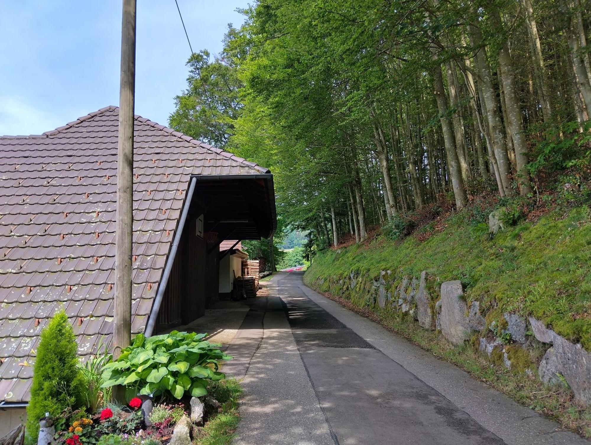 Haus "Guck - Ins - Tal" Apartment Sasbachwalden Bagian luar foto