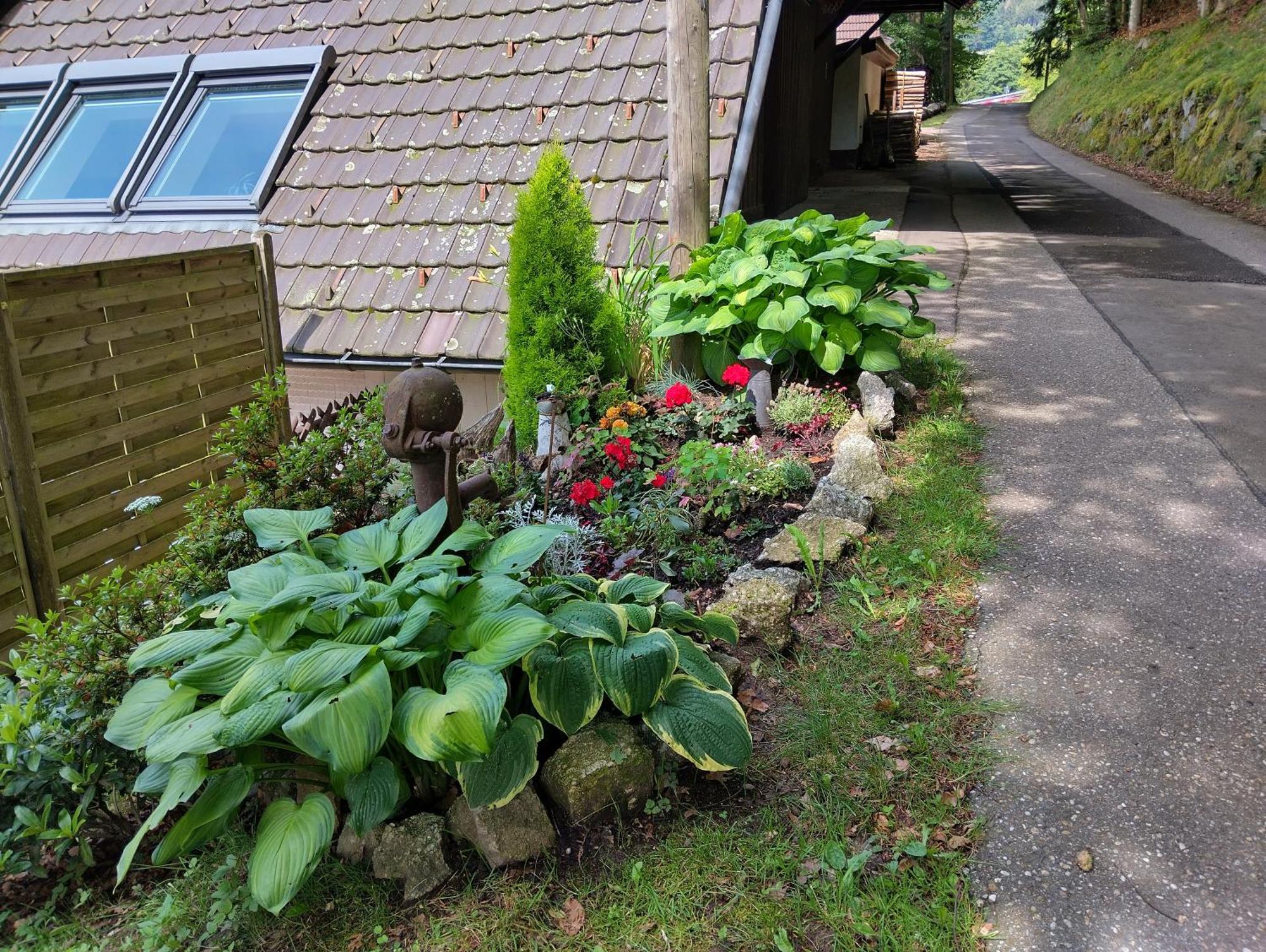 Haus "Guck - Ins - Tal" Apartment Sasbachwalden Bagian luar foto