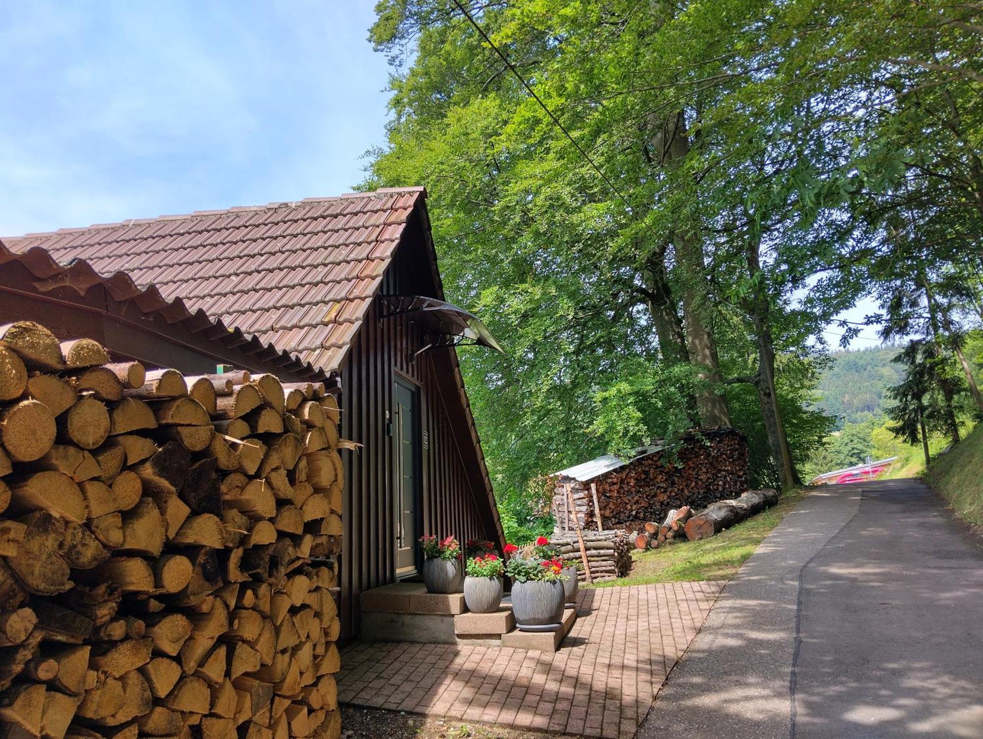 Haus "Guck - Ins - Tal" Apartment Sasbachwalden Bagian luar foto