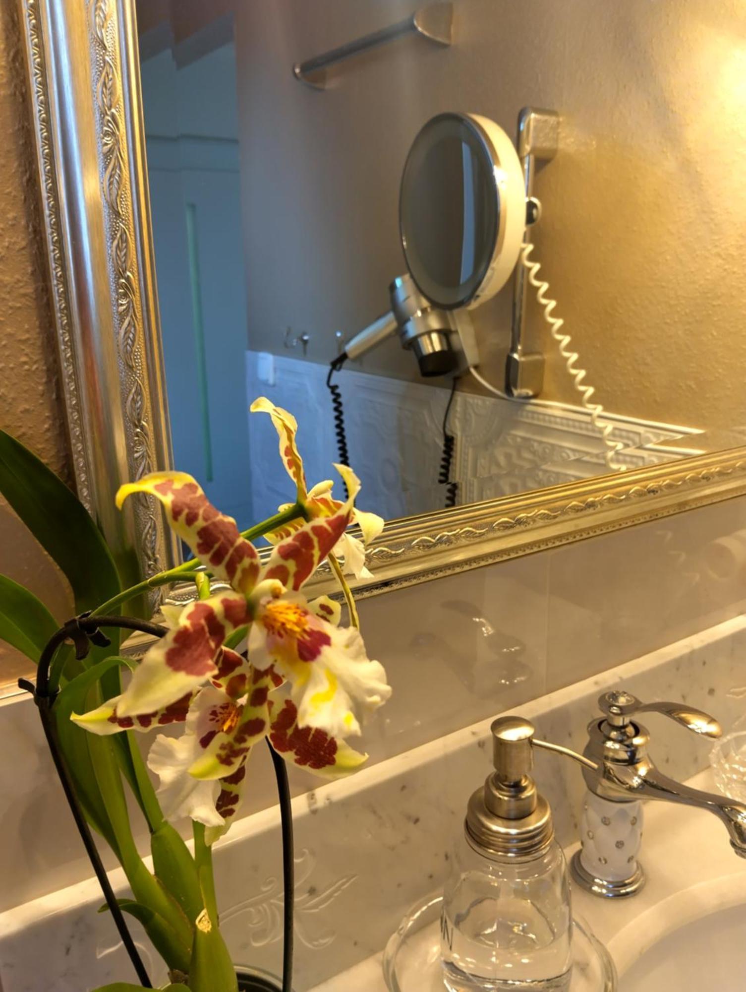 Haus "Guck - Ins - Tal" Apartment Sasbachwalden Bagian luar foto