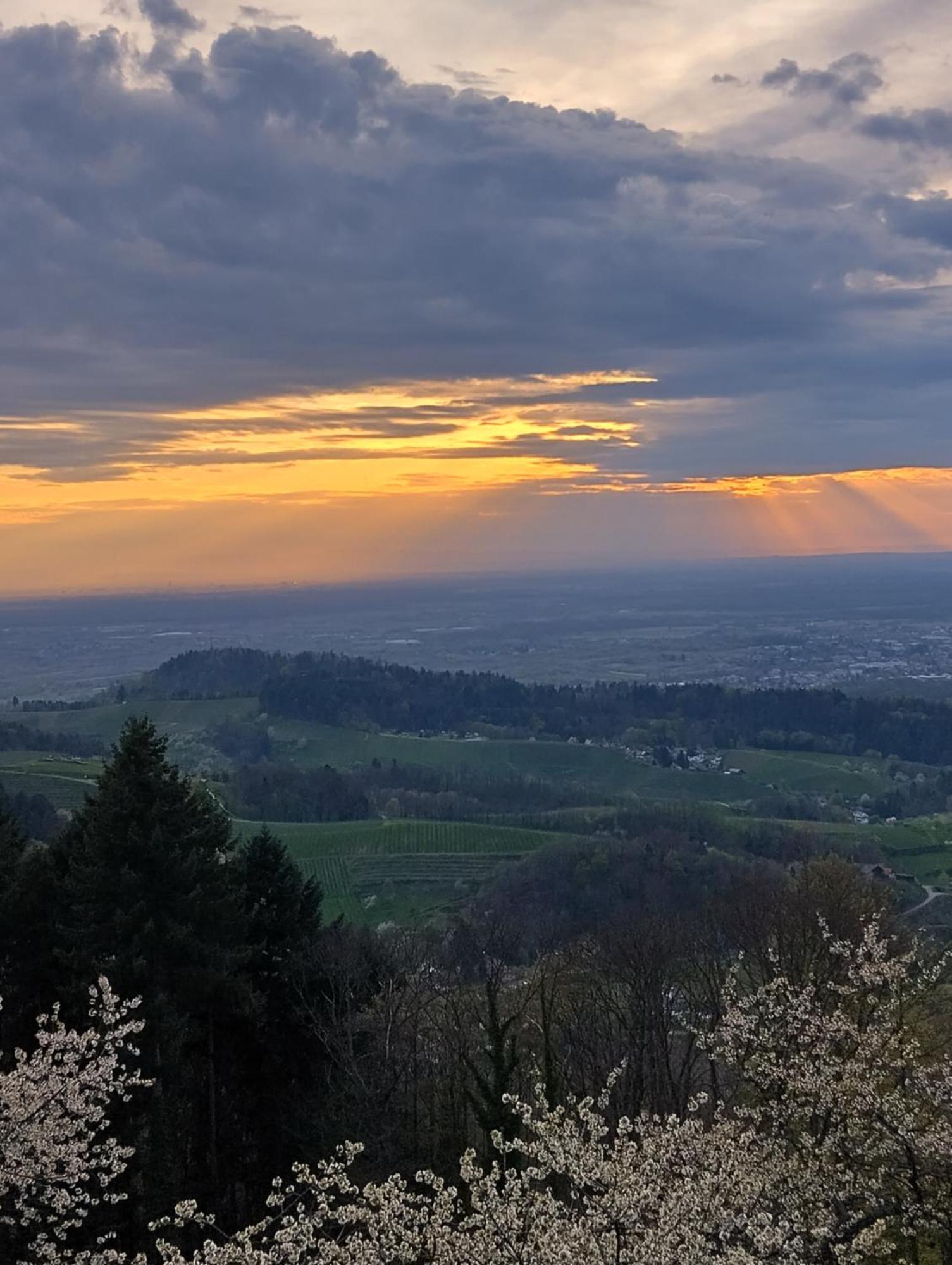 Haus "Guck - Ins - Tal" Apartment Sasbachwalden Bagian luar foto